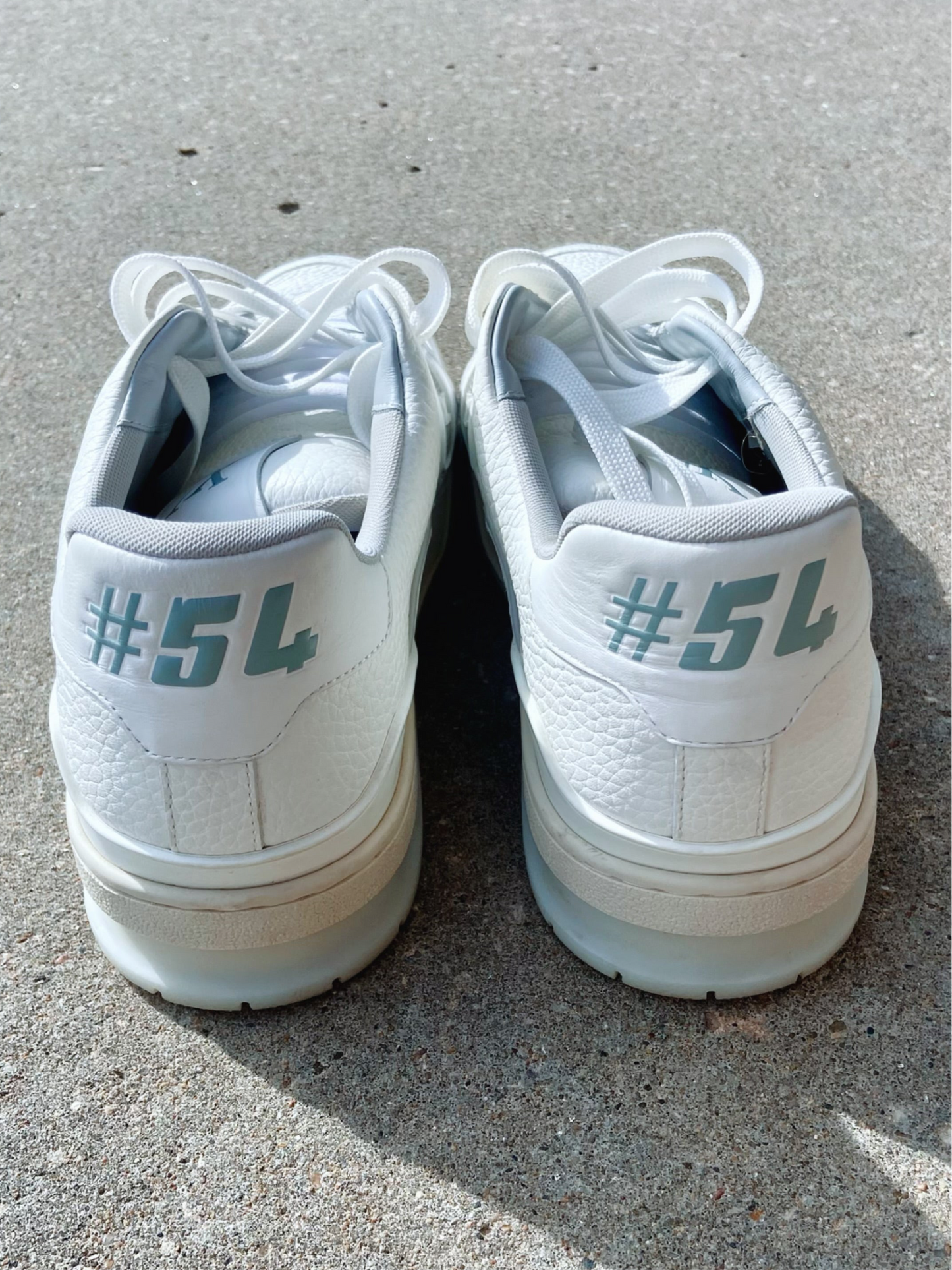 Louis Vuitton Trainer #54